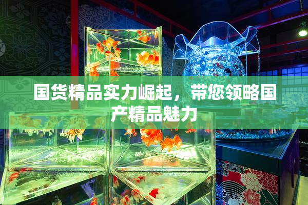 国货精品实力崛起，带您领略国产精品魅力