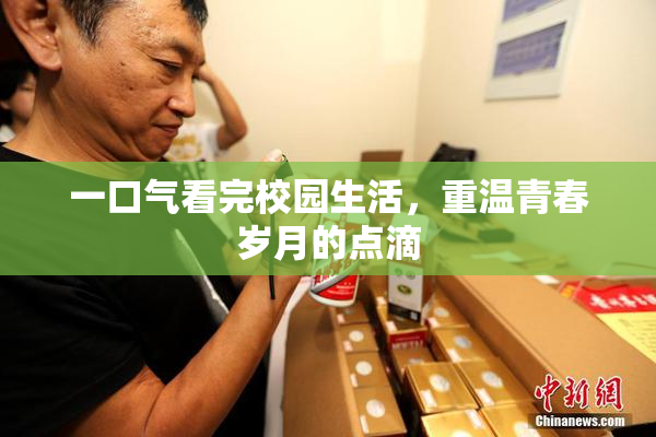 一口气看完校园生活，重温青春岁月的点滴