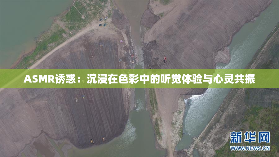 ASMR诱惑：沉浸在色彩中的听觉体验与心灵共振