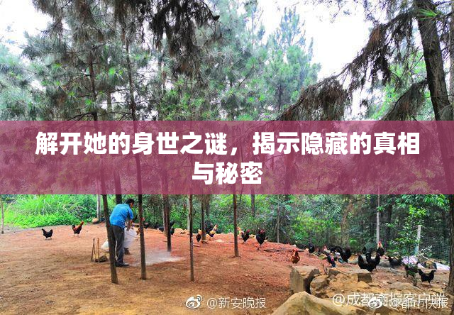 解开她的身世之谜，揭示隐藏的真相与秘密