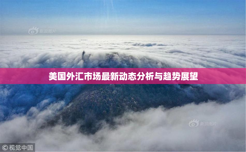 美国外汇市场最新动态分析与趋势展望