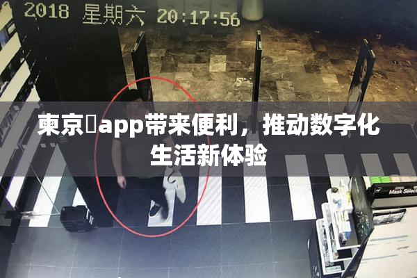 柬京埶app带来便利，推动数字化生活新体验