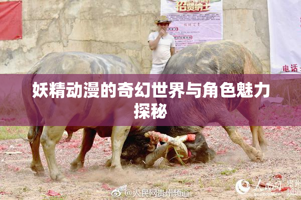 妖精动漫的奇幻世界与角色魅力探秘