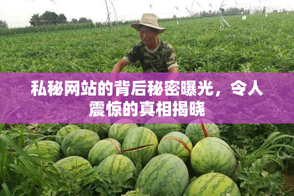 私秘网站的背后秘密曝光，令人震惊的真相揭晓
