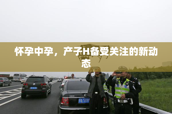 怀孕中孕，产子H备受关注的新动态