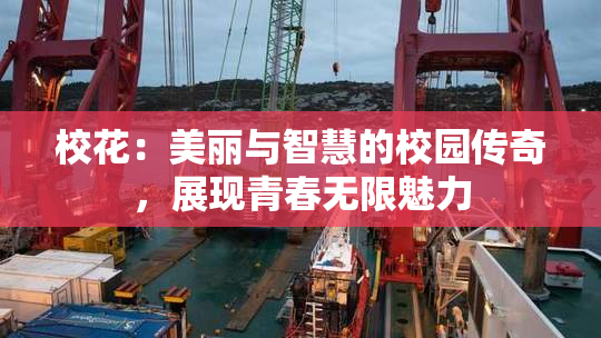 校花：美丽与智慧的校园传奇，展现青春无限魅力