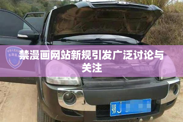禁漫画网站新规引发广泛讨论与关注