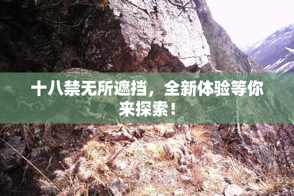 十八禁无所遮挡，全新体验等你来探索！