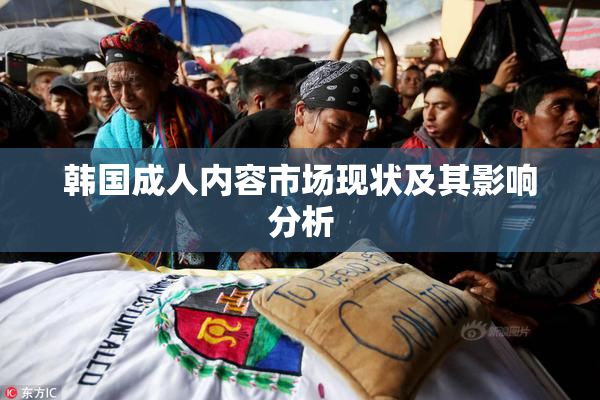 韩国成人内容市场现状及其影响分析