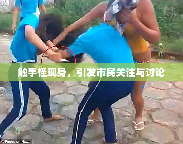触手怪现身，引发市民关注与讨论
