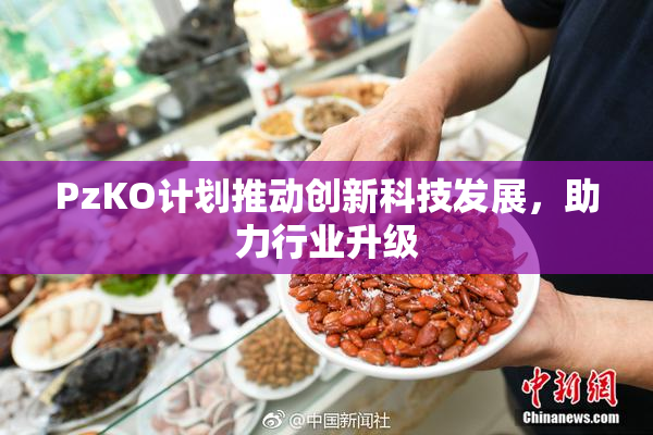 PzKO计划推动创新科技发展，助力行业升级