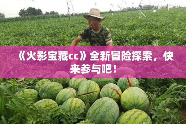 《火影宝藏cc》全新冒险探索，快来参与吧！
