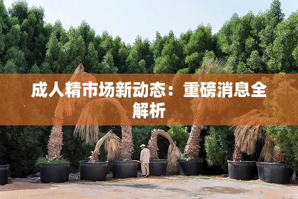 成人精市场新动态：重磅消息全解析