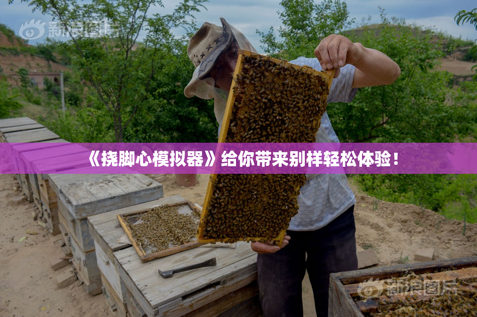 《挠脚心模拟器》给你带来别样轻松体验！