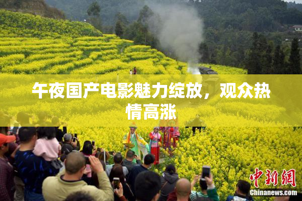 午夜国产电影魅力绽放，观众热情高涨