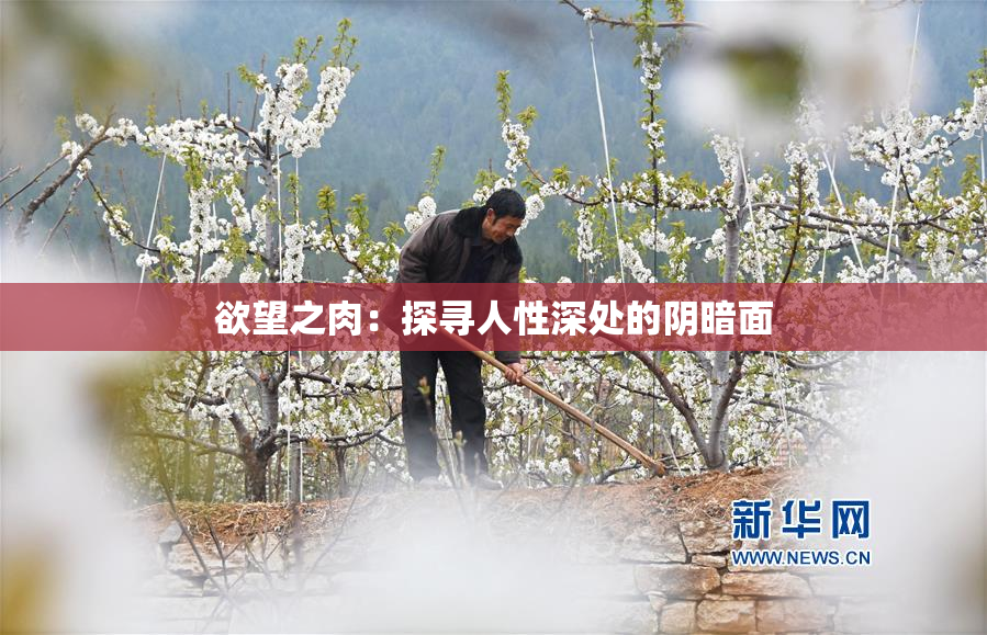 欲望之肉：探寻人性深处的阴暗面