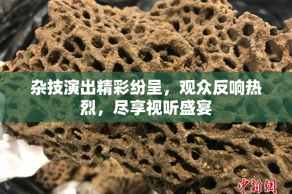 杂技演出精彩纷呈，观众反响热烈，尽享视听盛宴