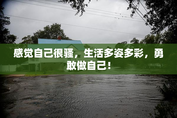 感觉自己很骚，生活多姿多彩，勇敢做自己！