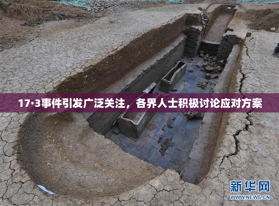 17·3事件引发广泛关注，各界人士积极讨论应对方案