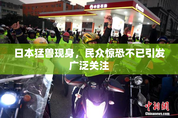 日本猛兽现身，民众惊恐不已引发广泛关注