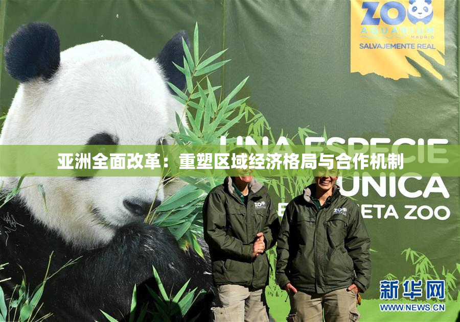 亚洲全面改革：重塑区域经济格局与合作机制