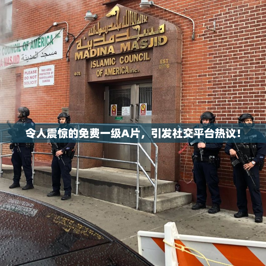 令人震惊的免费一级A片，引发社交平台热议！