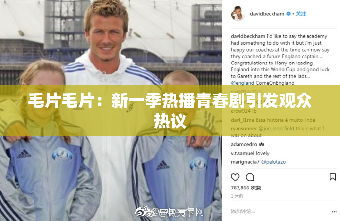 毛片毛片：新一季热播青春剧引发观众热议