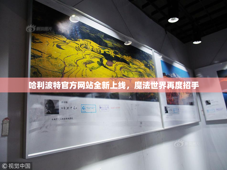 哈利波特官方网站全新上线，魔法世界再度招手