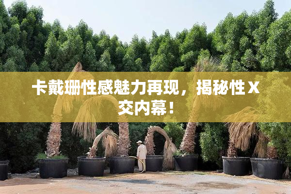 卡戴珊性感魅力再现，揭秘性Ⅹ交内幕！