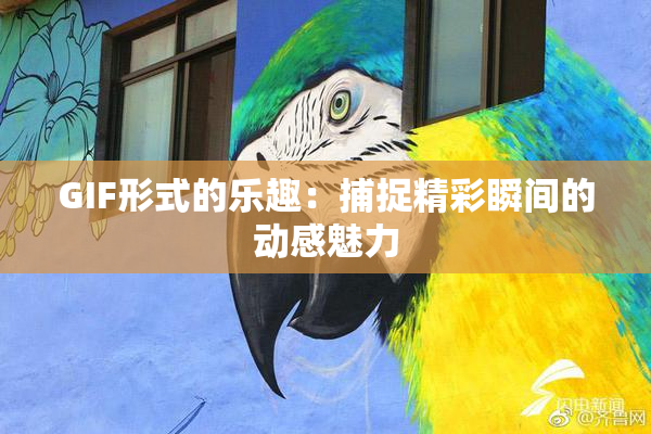 GIF形式的乐趣：捕捉精彩瞬间的动感魅力