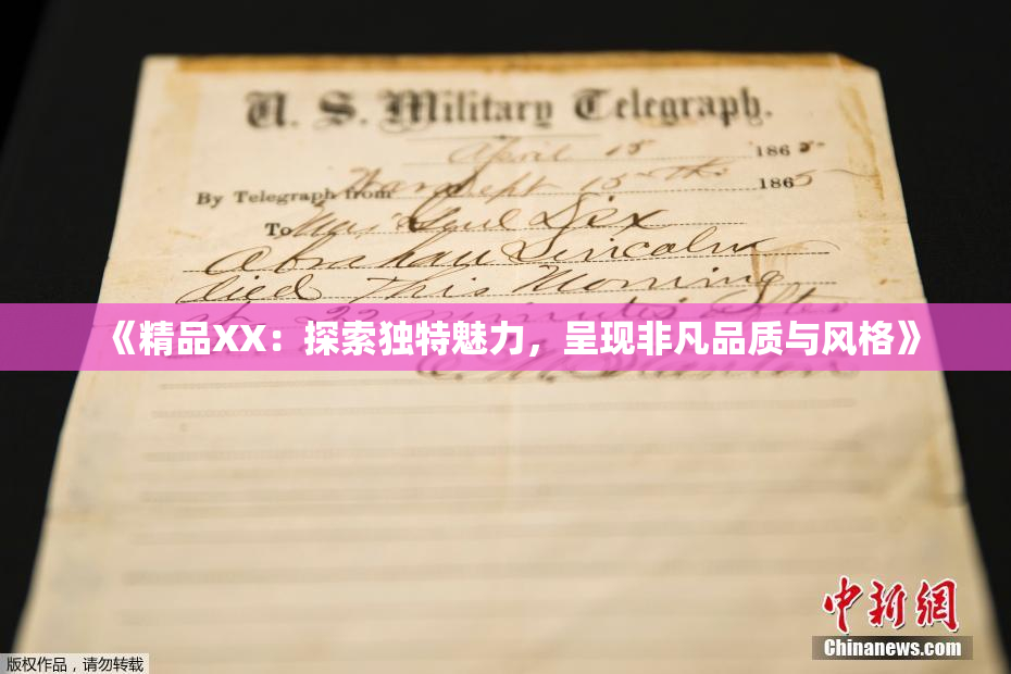 《精品XX：探索独特魅力，呈现非凡品质与风格》