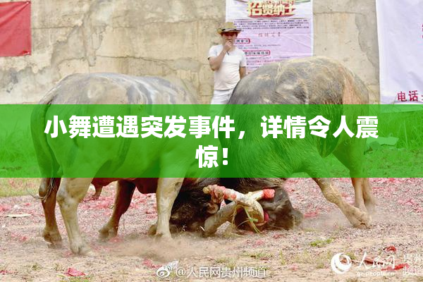 小舞遭遇突发事件，详情令人震惊！