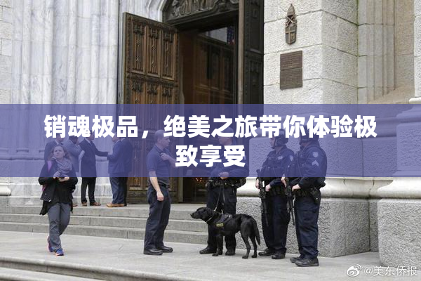 销魂极品，绝美之旅带你体验极致享受