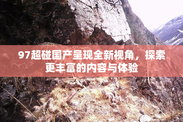 97超碰国产呈现全新视角，探索更丰富的内容与体验