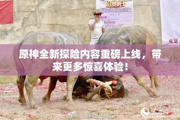 原神全新探险内容重磅上线，带来更多惊喜体验！