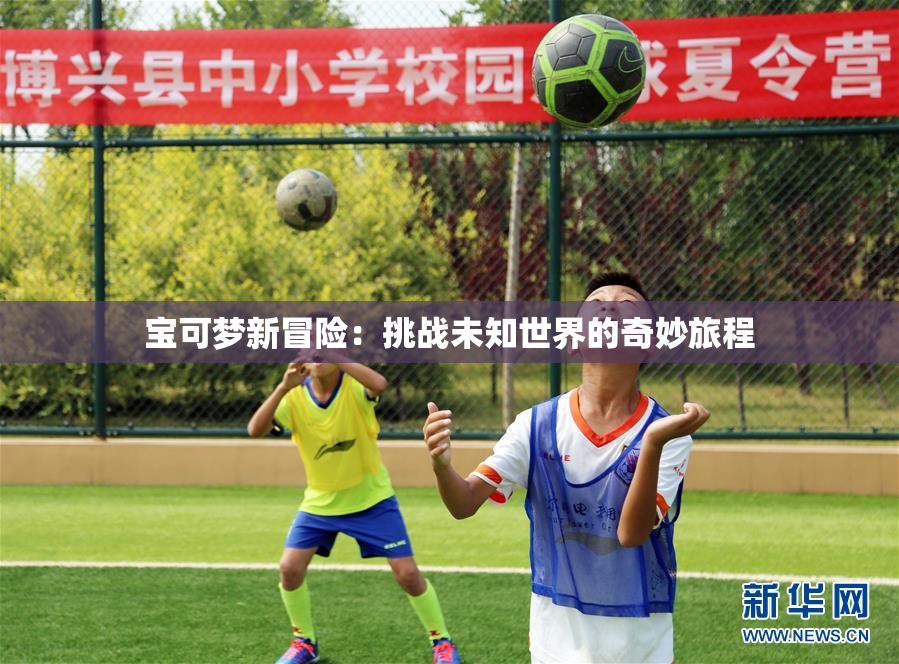 宝可梦新冒险：挑战未知世界的奇妙旅程
