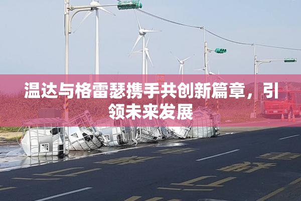 温达与格雷瑟携手共创新篇章，引领未来发展