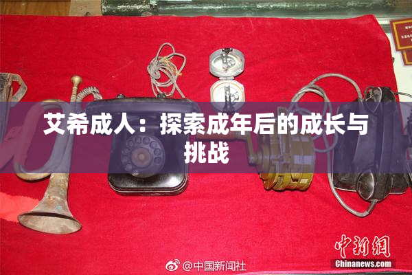 艾希成人：探索成年后的成长与挑战