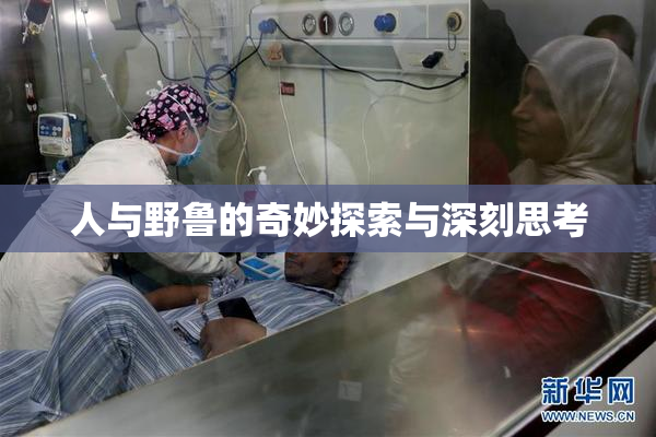 人与野鲁的奇妙探索与深刻思考