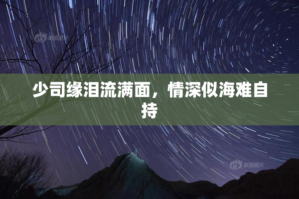 少司缘泪流满面，情深似海难自持