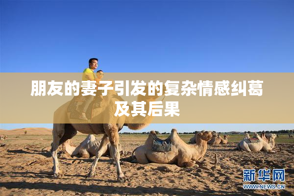 朋友的妻子引发的复杂情感纠葛及其后果