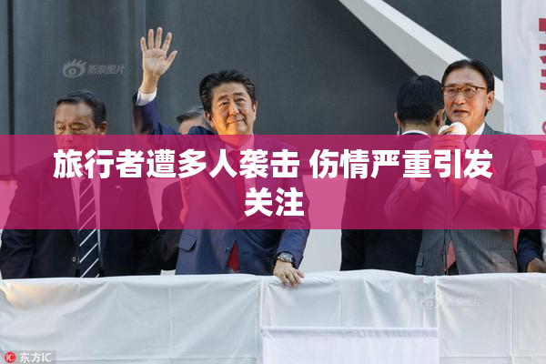 旅行者遭多人袭击 伤情严重引发关注