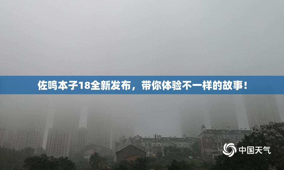 佐鸣本子18全新发布，带你体验不一样的故事！