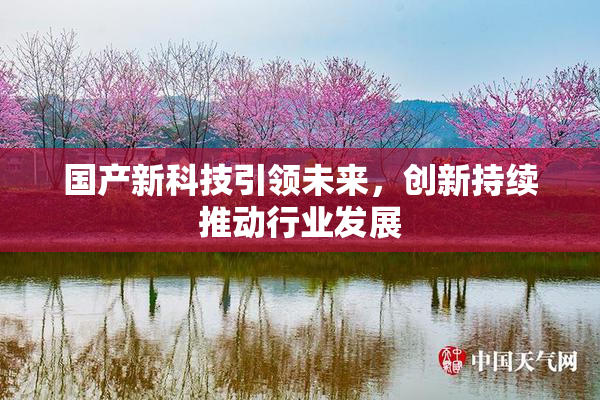国产新科技引领未来，创新持续推动行业发展