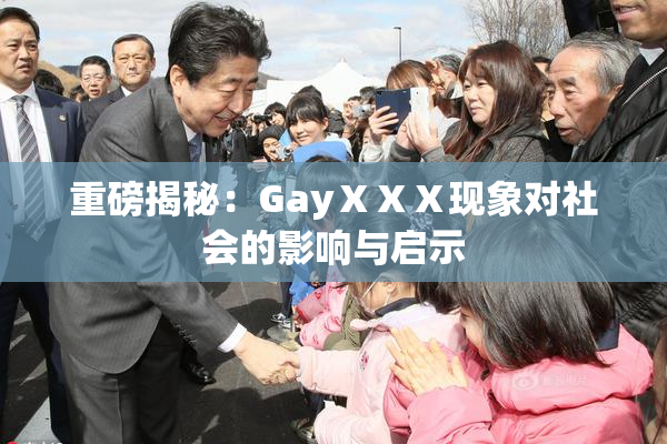 重磅揭秘：GayⅩⅩⅩ现象对社会的影响与启示