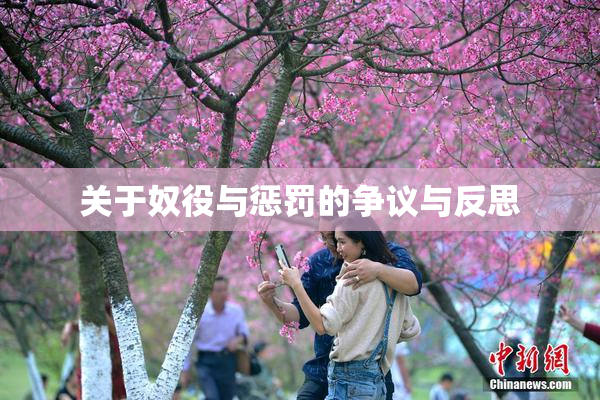 关于奴役与惩罚的争议与反思