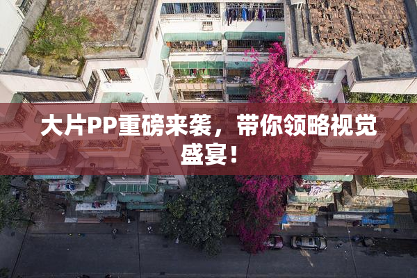 大片PP重磅来袭，带你领略视觉盛宴！