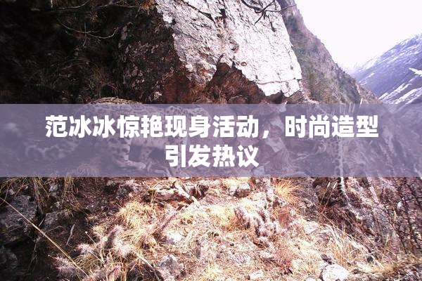 范冰冰惊艳现身活动，时尚造型引发热议