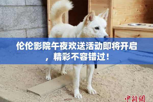 伦伦影院午夜欢送活动即将开启，精彩不容错过！