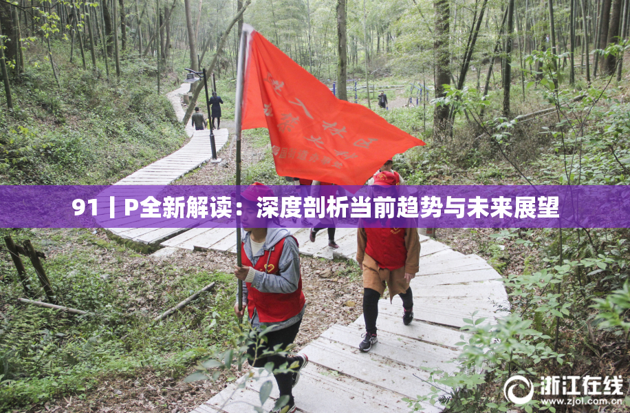 91丨P全新解读：深度剖析当前趋势与未来展望